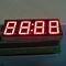 السوبر الأخضر 0.56 بوصة على مدار الساعة شاشة LED ، الأنود المشترك 7 العرض